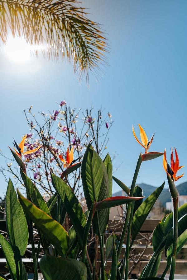 Villa The Palm, Beach & Airport Closeby - Pool Porto Rafti Exterior photo